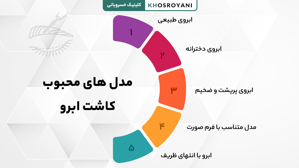 مدل های محبوب کاشت ابرو