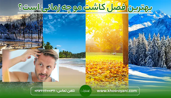 بهترین فصل کاشت مو