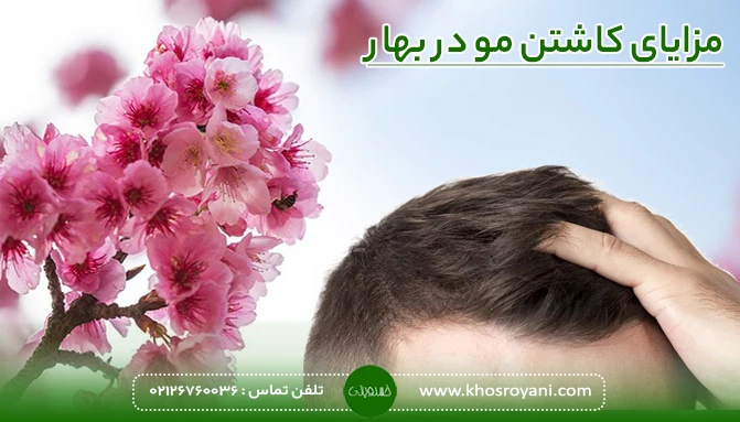 مزایای کاشتن مو در بهار